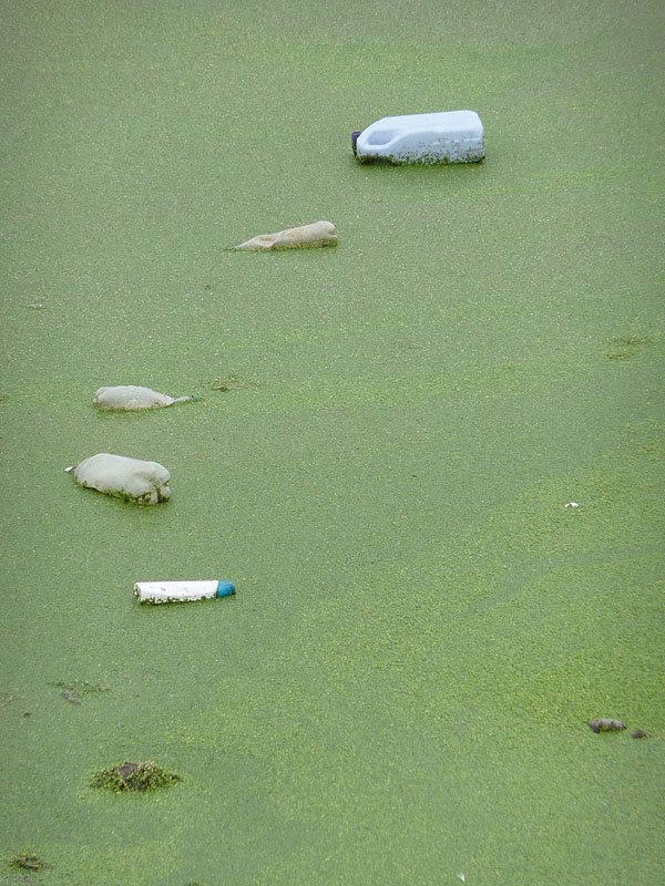 Trash Problem in Armenia